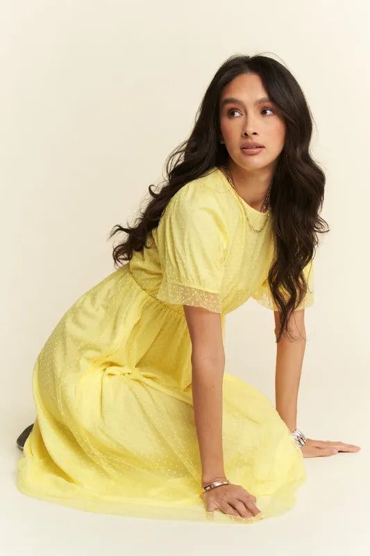 Davi & Dani Mesh Puff Short Sleeve Midi Dress.