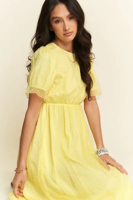 Davi & Dani Mesh Puff Short Sleeve Midi Dress.