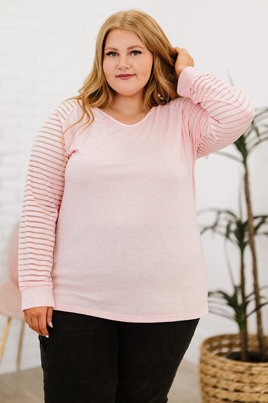 Plus Size Sheer Striped Sleeve V-Neck Top - PRAYANS